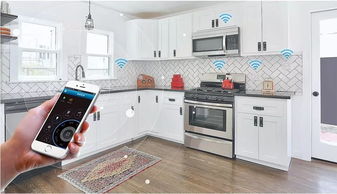 佛山 灣區(qū)廚房經(jīng)濟(jì)崛起，年成交套數(shù)破10萬